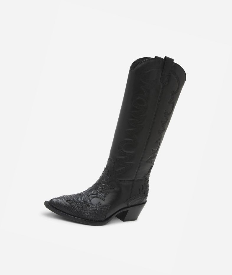 Long Boots ASH Dream Noir Femme | BQC-1029067