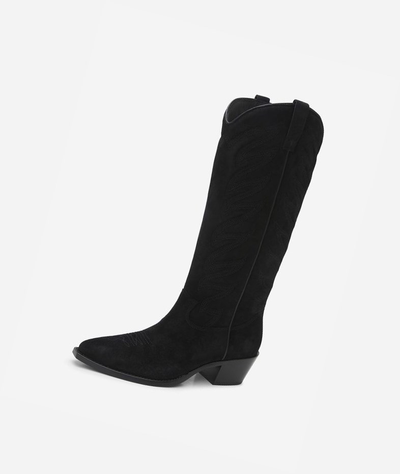 Long Boots ASH Delirium Noir Femme | QSW-4093732