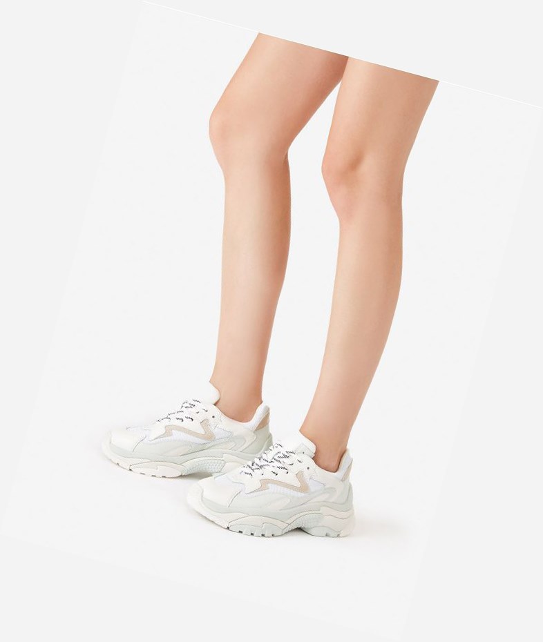 Low-Top Sneakers ASH Addict Blanche Femme | NXP-1786796