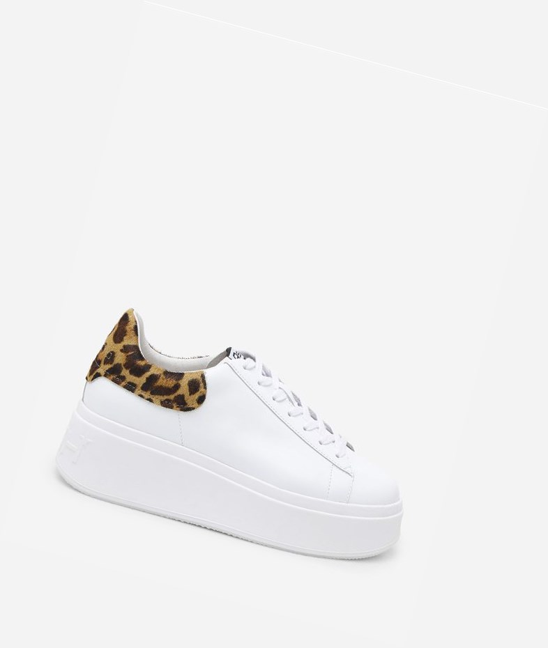 Low-Top Sneakers ASH Moby Blanche Noir Femme | LIZ-1453211