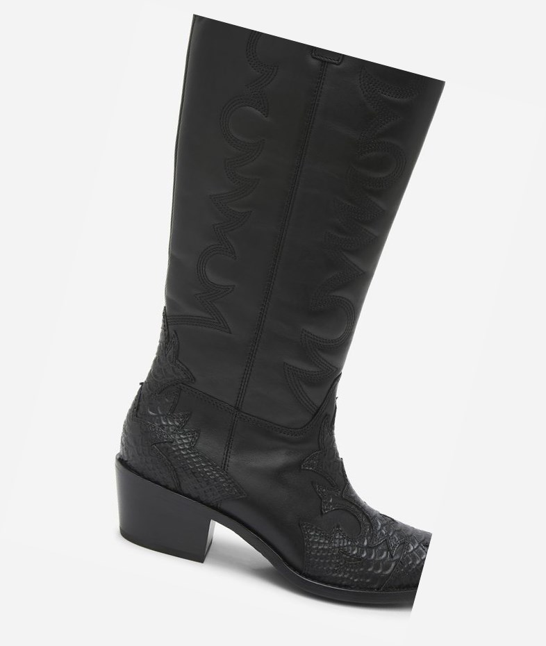 Long Boots ASH Dream Noir Femme | BQC-1029067