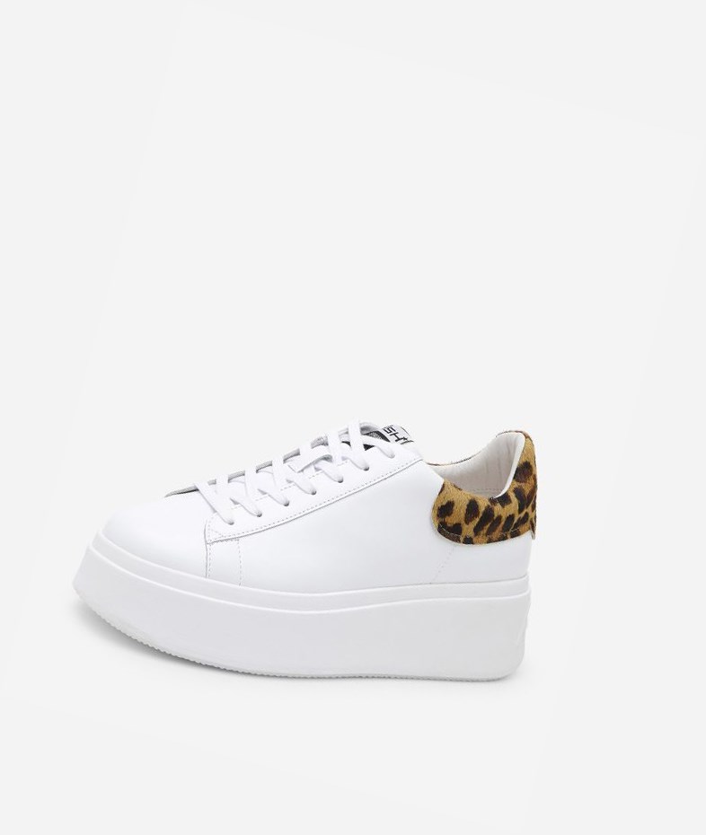 Low-Top Sneakers ASH Moby Blanche Noir Femme | LIZ-1453211