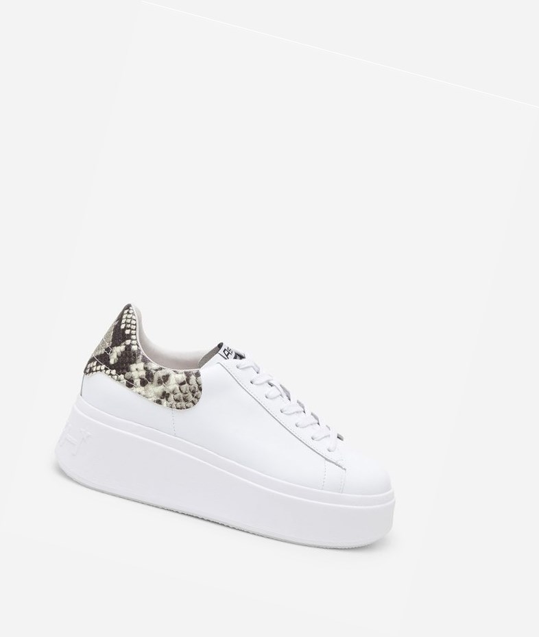 Low-Top Sneakers ASH Moby Blanche Femme | BCI-4218978