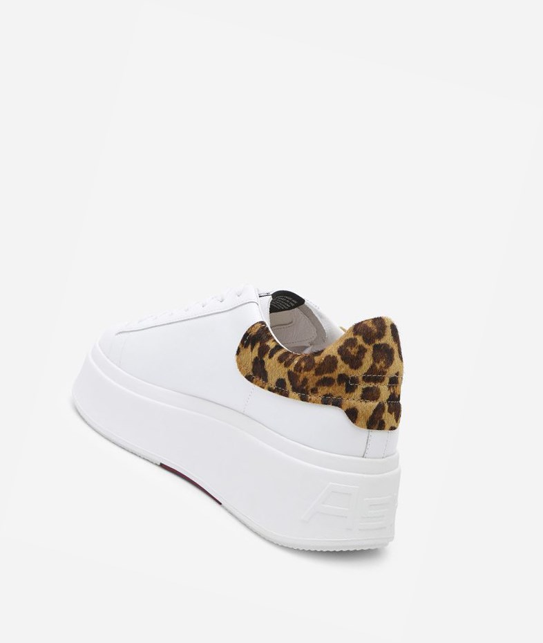 Low-Top Sneakers ASH Moby Blanche Noir Femme | LIZ-1453211