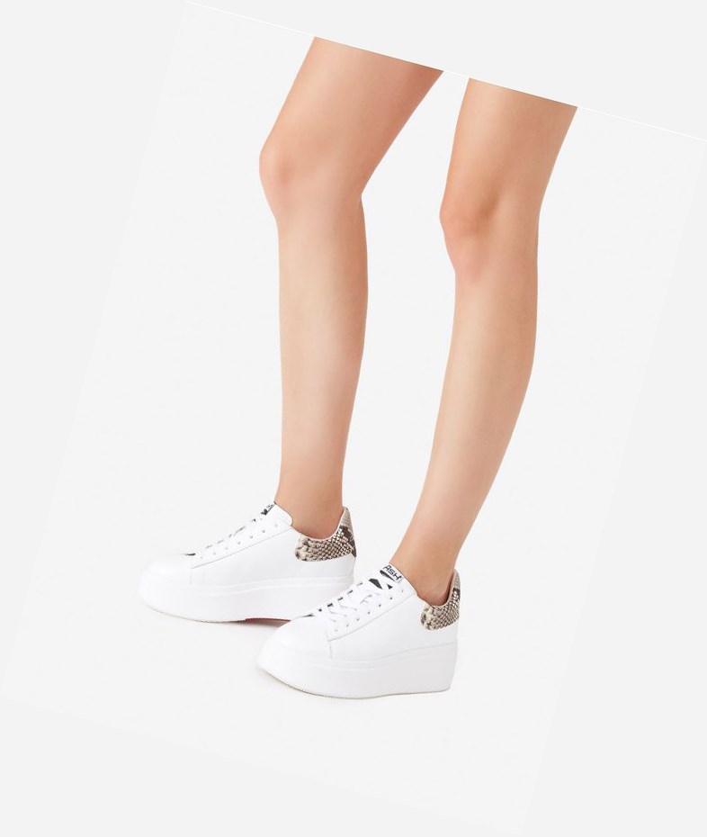 Low-Top Sneakers ASH Moby Blanche Femme | BCI-4218978