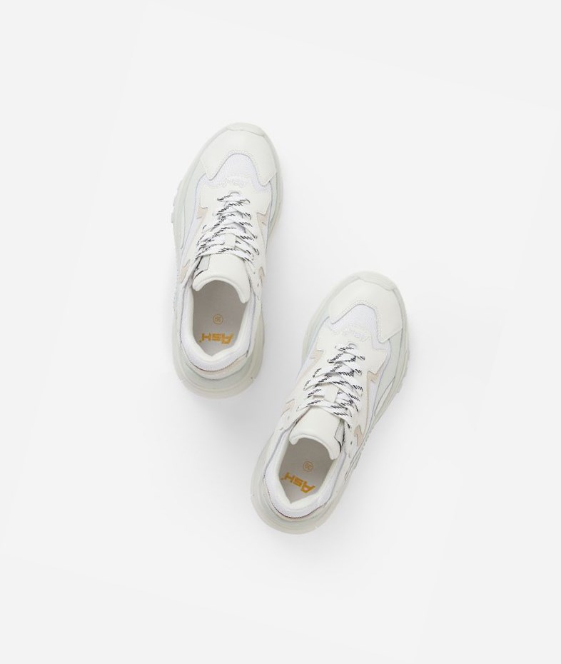 Low-Top Sneakers ASH Addict Blanche Femme | NXP-1786796