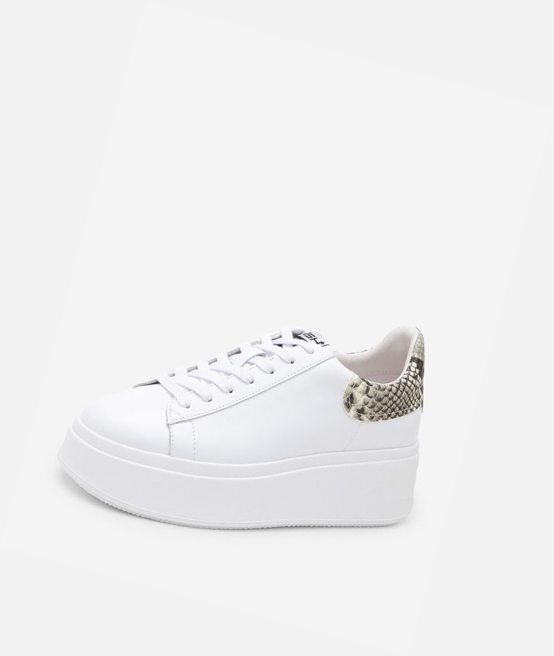 Low-Top Sneakers ASH Moby Blanche Femme | BCI-4218978