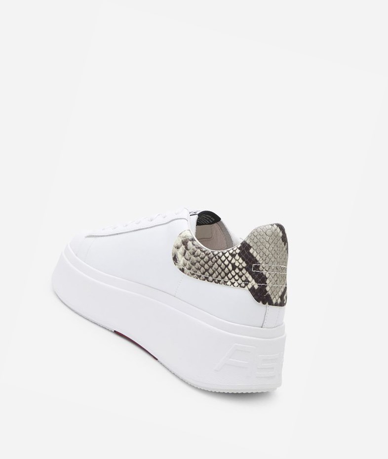 Low-Top Sneakers ASH Moby Blanche Femme | BCI-4218978