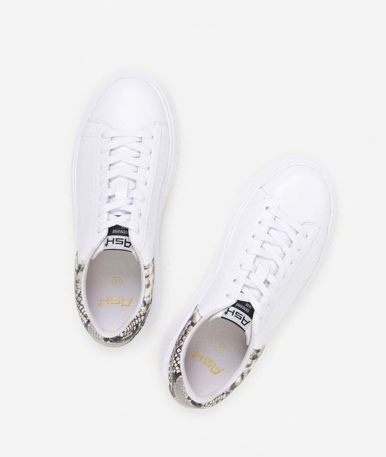 Low-Top Sneakers ASH Moby Blanche Femme | BCI-4218978