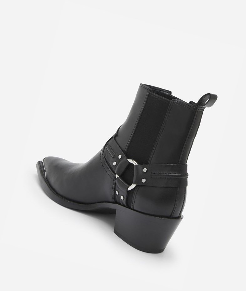 Bottines ASH Dusty Noir Femme | NDK-1678481