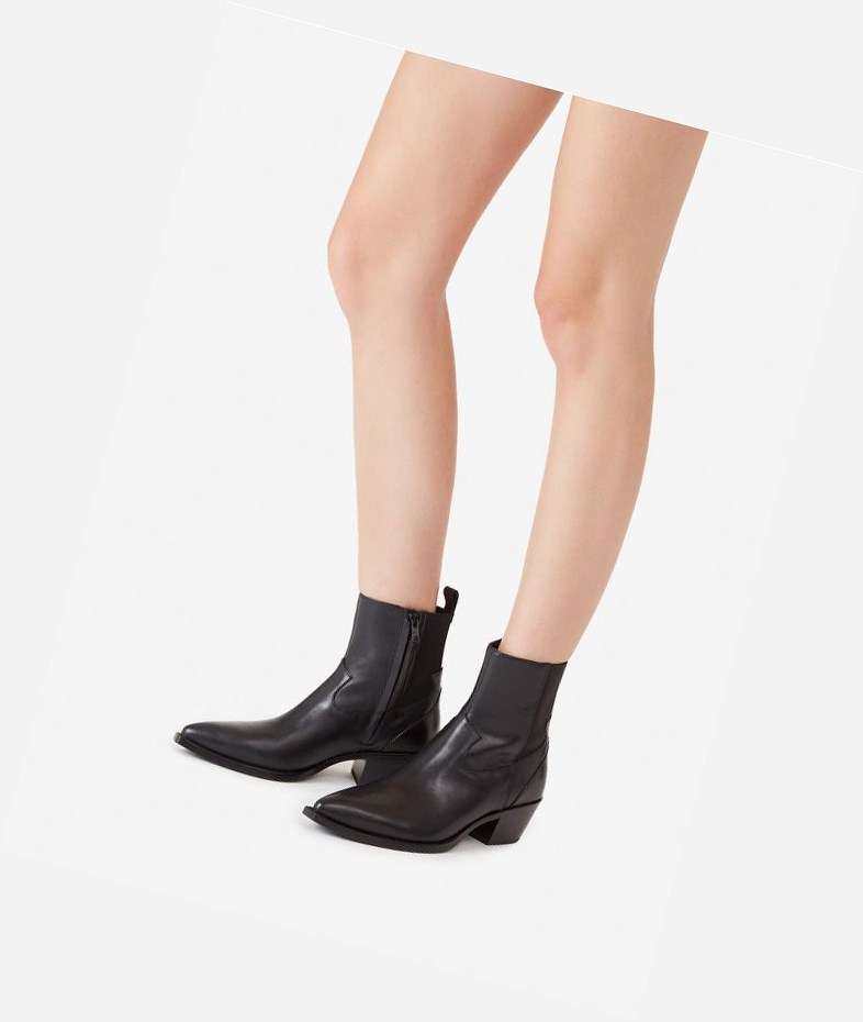 Bottines ASH Dylan Noir Femme | DVH-2410652