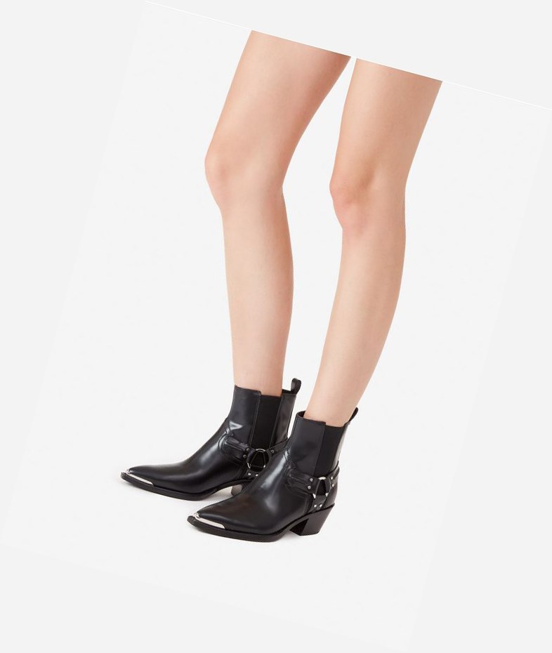 Bottines ASH Dusty Noir Femme | JPY-5877220