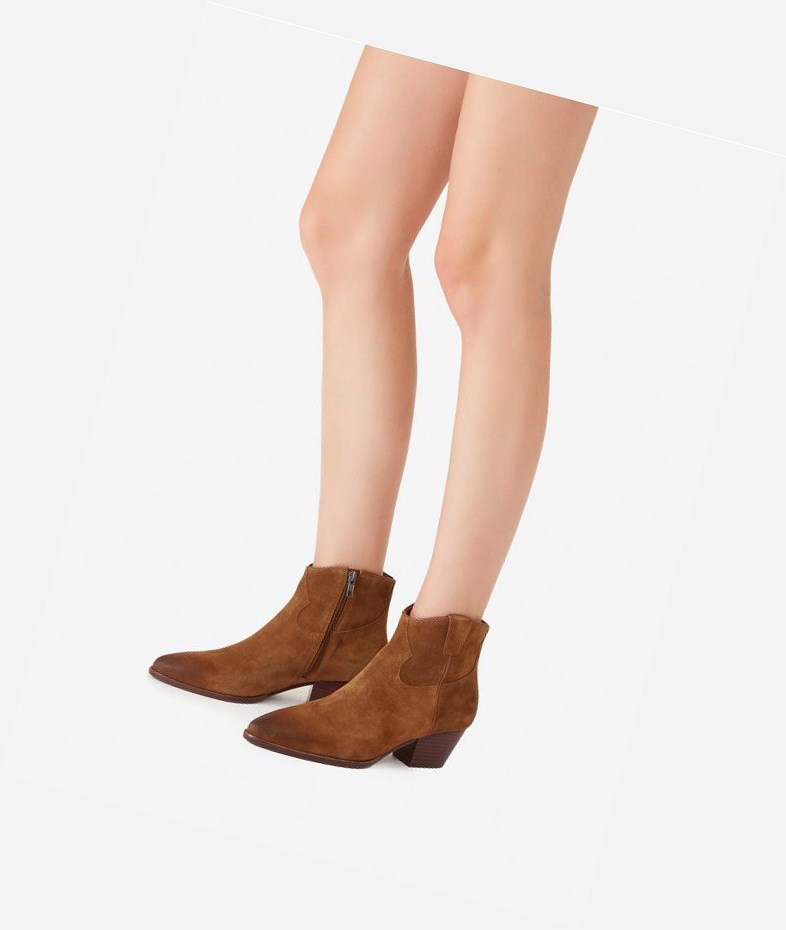 Bottines ASH Houston Russet Femme | RWQ-5689369