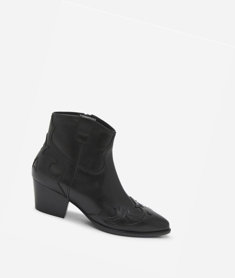 Bottines ASH Harlow Noir Femme | NIK-1938597