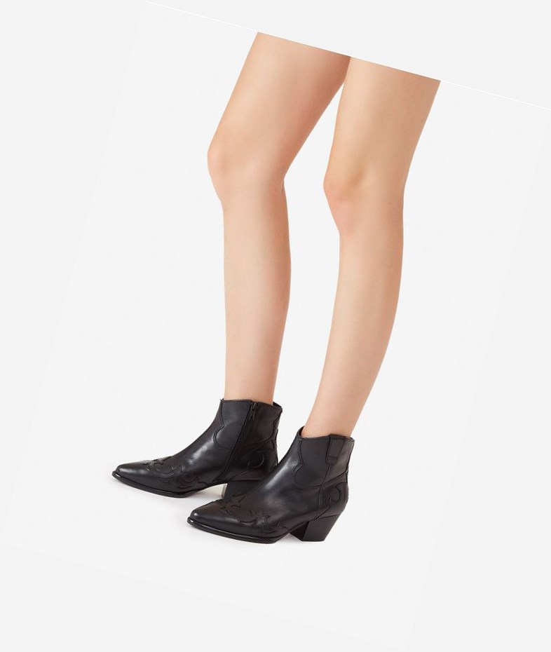 Bottines ASH Harlow Noir Femme | NIK-1938597