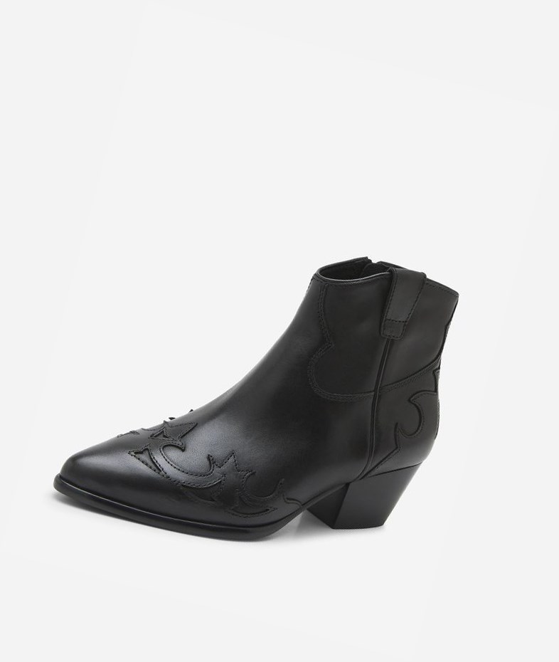 Bottines ASH Harlow Noir Femme | NIK-1938597