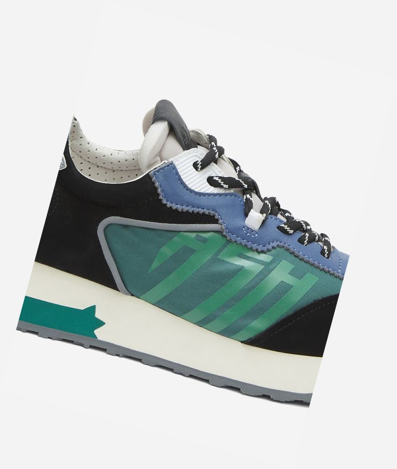 Low-Top Sneakers ASH Tiger Noir Vert Femme | GWX-1898346