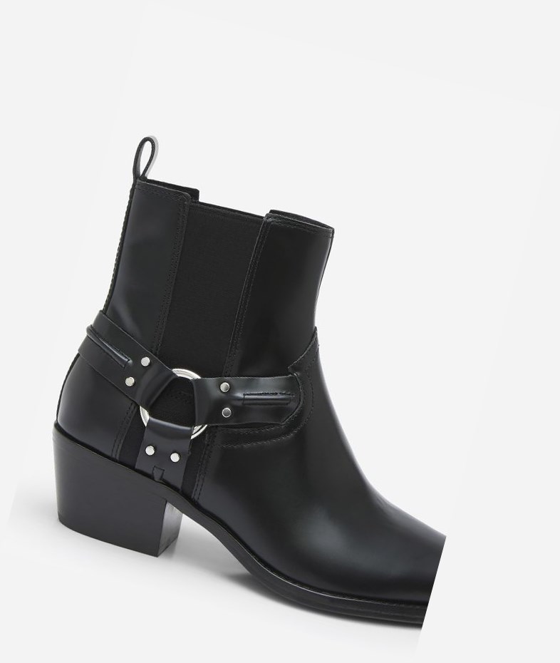 Bottines ASH Dusty Noir Femme | JPY-5877220