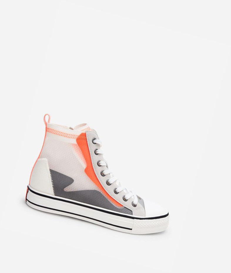 High-Top Sneakers ASH Gasper Grise Orange Femme | UHC-4314797