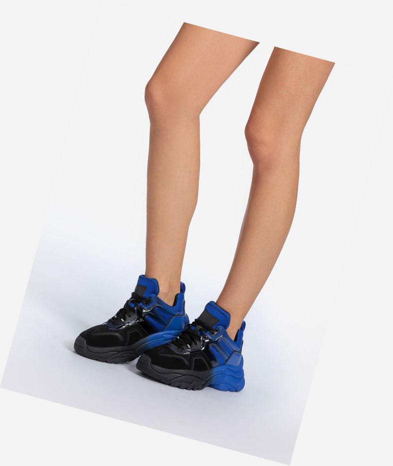 Low-Top Sneakers ASH Active Noir Bleu Femme | OEJ-9352402