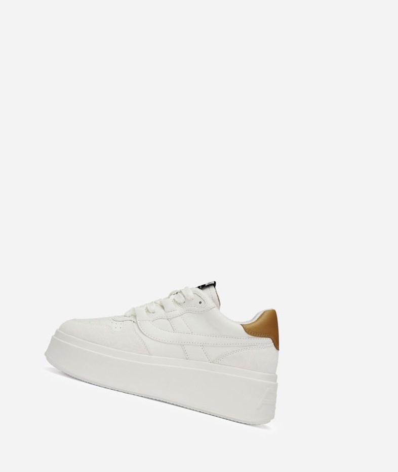 Low-Top Sneakers ASH Match Blanche Marron Femme | ZXZ-7294575