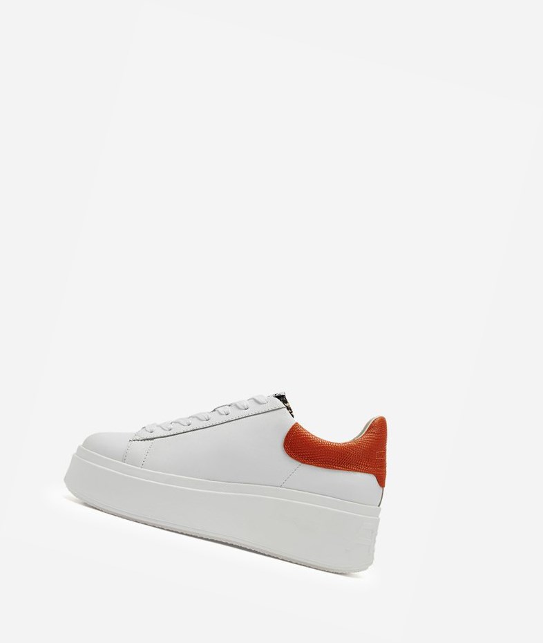 Low-Top Sneakers ASH Moby Blanche Femme | LQC-2796304