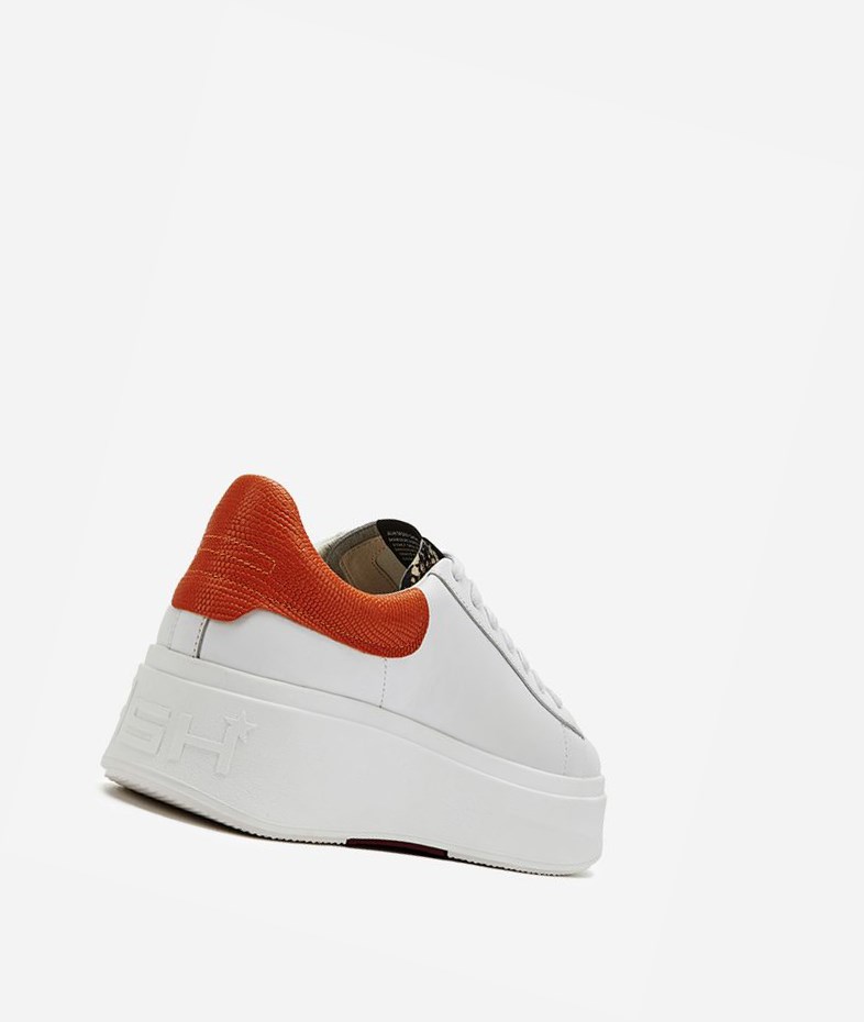 Low-Top Sneakers ASH Moby Blanche Femme | LQC-2796304