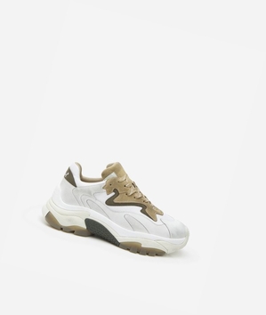 Low-Top Sneakers ASH ATOMIC Blanche Homme | HXD-4700387